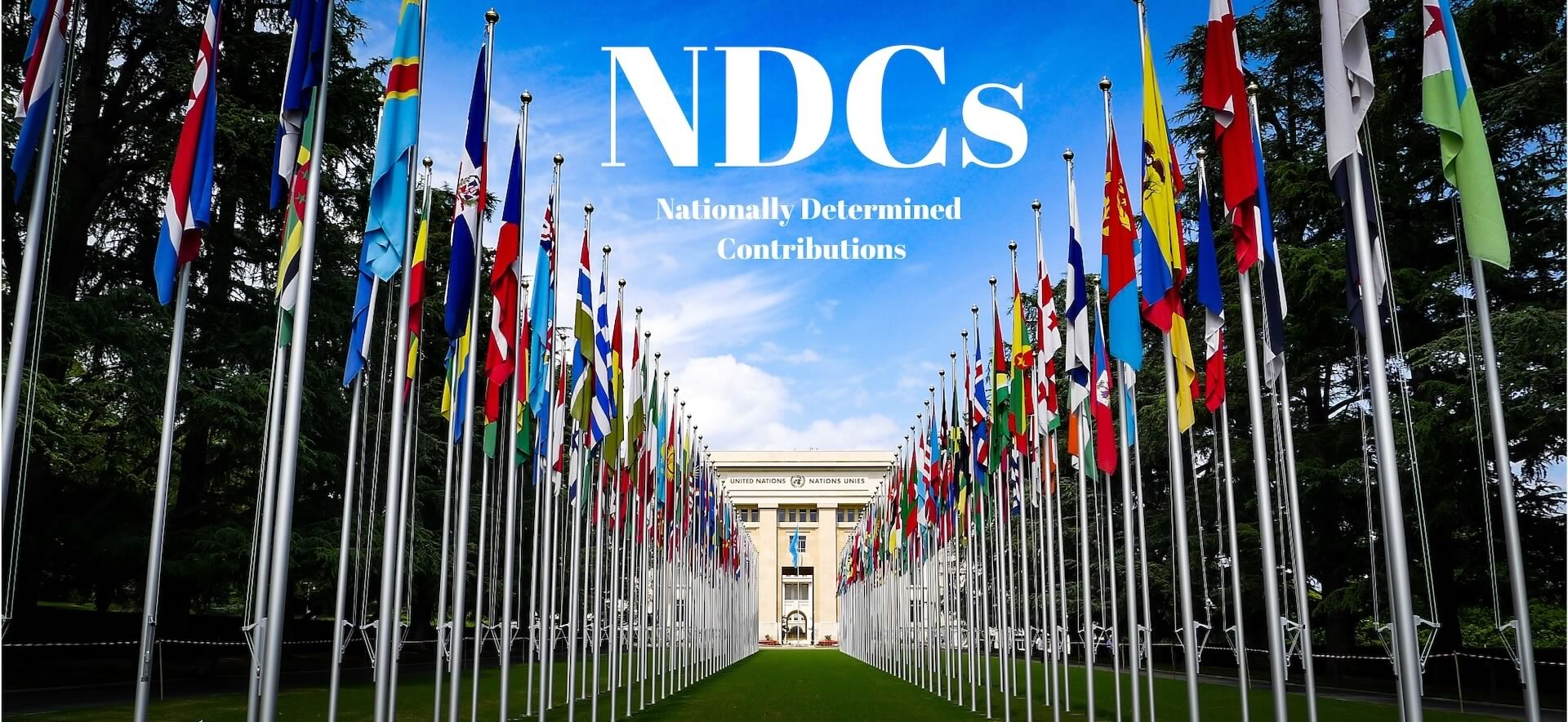 ndc