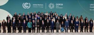 cop 29bis